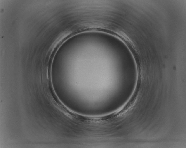 X0000074320790200608251259