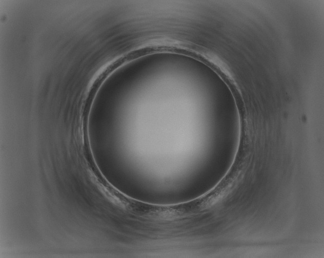 X0000074320791200608251259