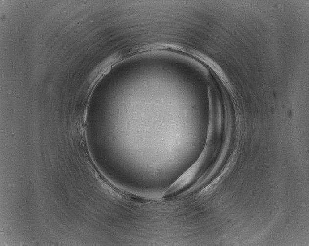 X0000074320809200608251259