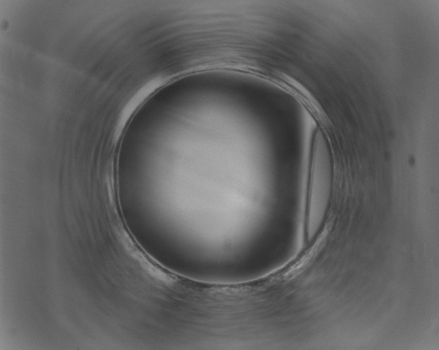 X0000074320812200608251259
