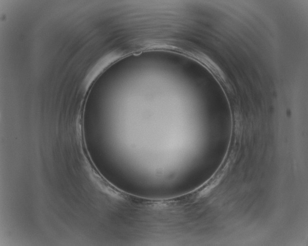 X0000074320814200608251259