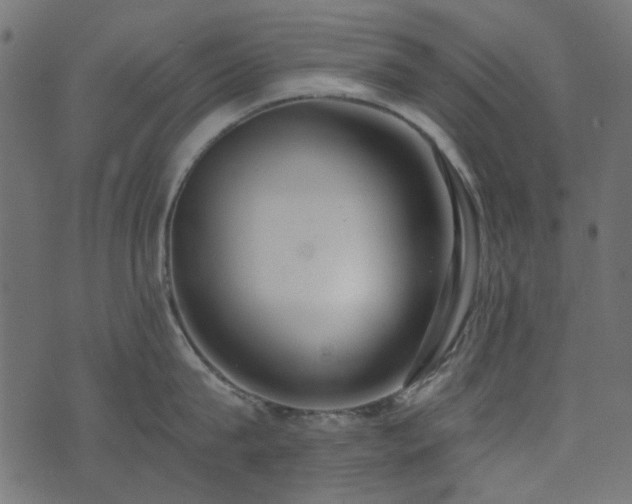 X0000074320815200608251259