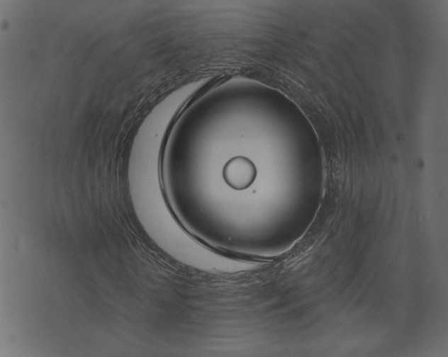 X0000074320818200608251258