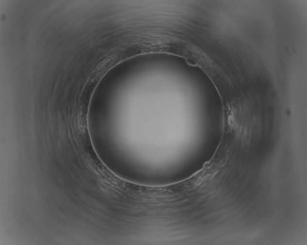 X0000074320819200608251258
