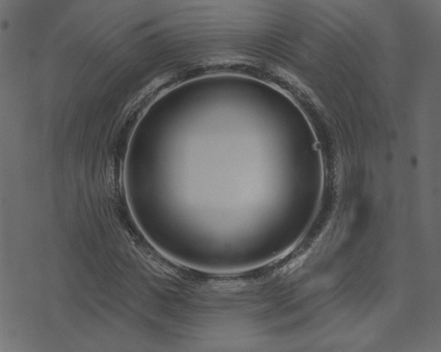 X0000074320825200608251258