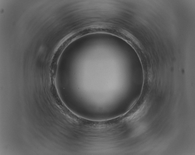 X0000074320829200608251258