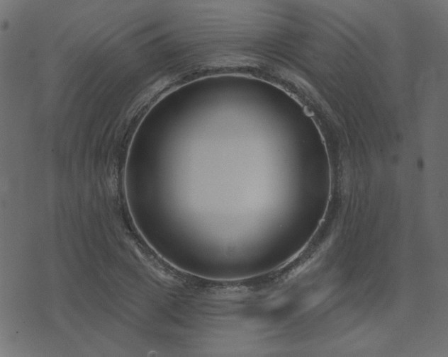 X0000074320833200608251258