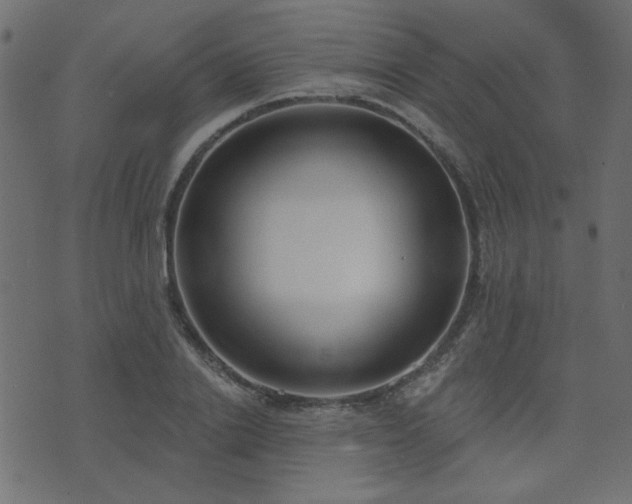 X0000074320838200608251259