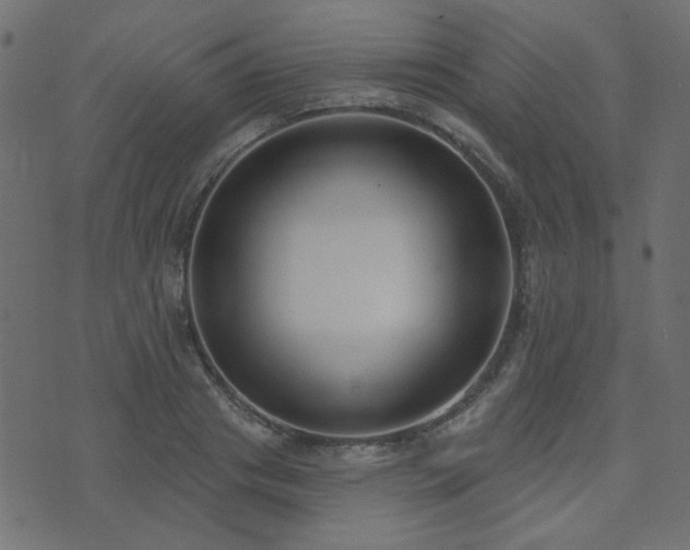 X0000074320841200608251259