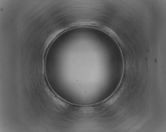 X0000074320844200608251259