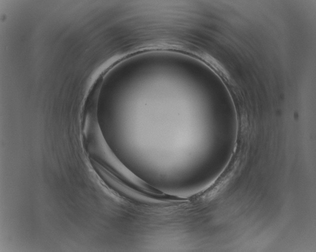X0000074320854200608251259