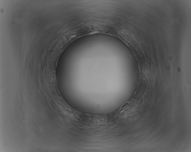 X0000074320865200608251258