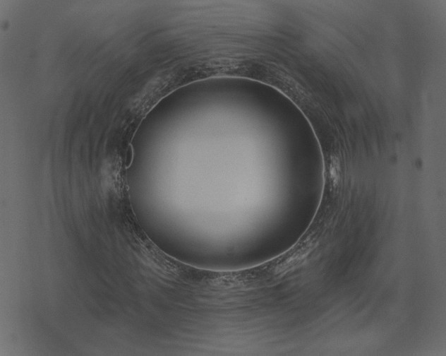 X0000074320867200608251258