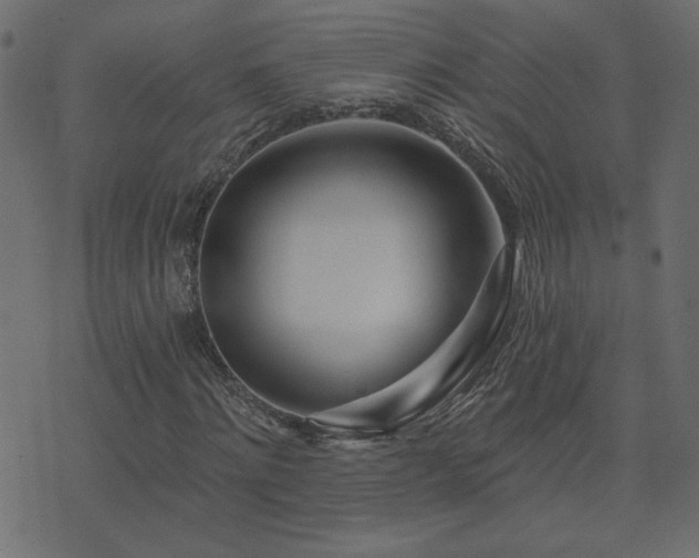 X0000074320868200608251258