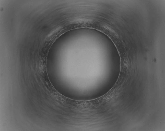 X0000074320869200608251258