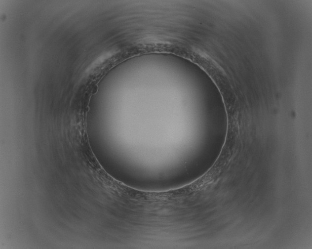 X0000074320870200608251258