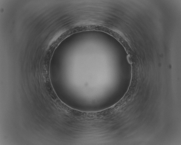 X0000074320871200608251258
