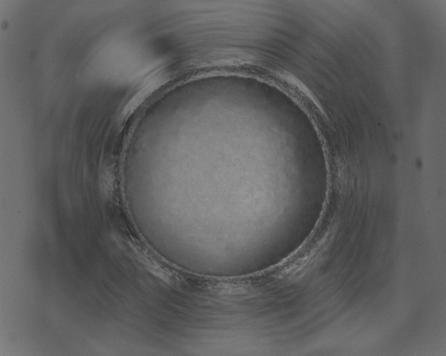 X0000074320874200608251258