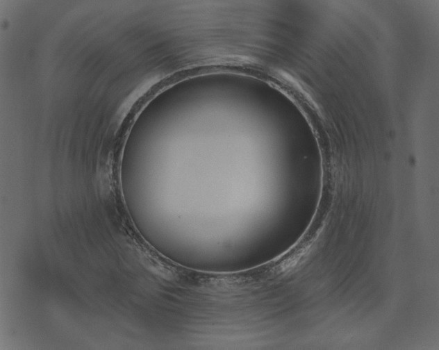 X0000074320875200608251258