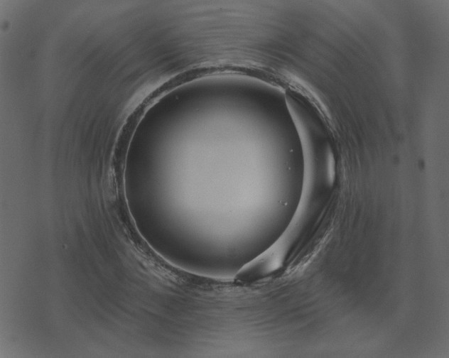 X0000074320876200608251258