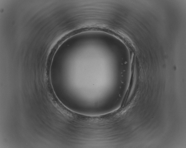 X0000074320880200608251258