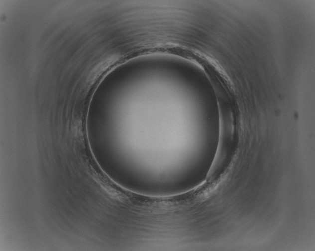 X0000074320881200608251258