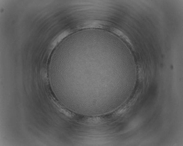X0000074320882200608251258