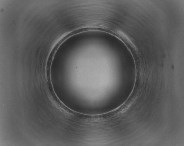 X0000074320884200608251258
