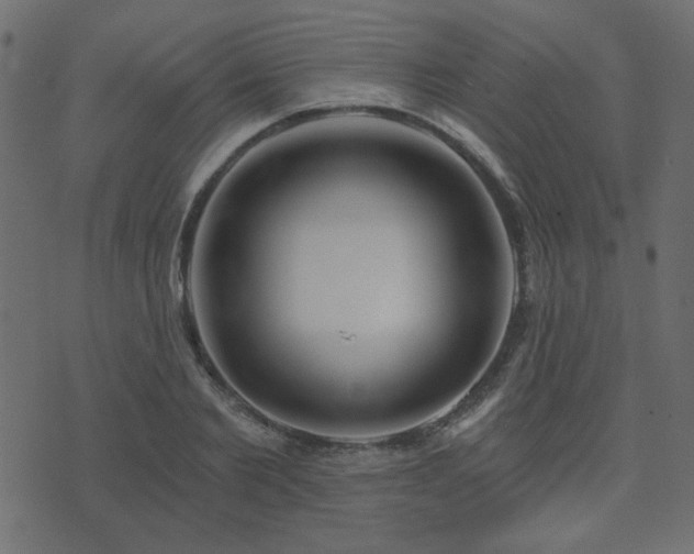 X0000074320885200608251258