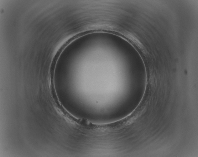 X0000074320888200608251258