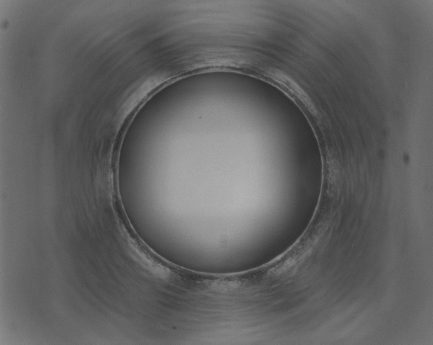 X0000074320890200608251258