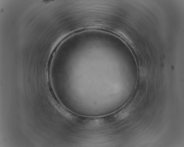 X0000074320891200608251258