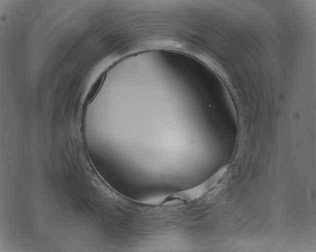 X0000074320912200608251257