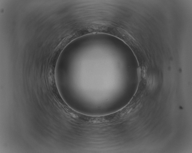 X0000074320915200608251257
