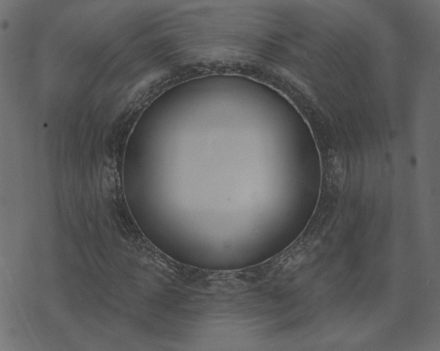 X0000074320918200608251257