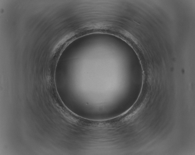 X0000074320922200608251257