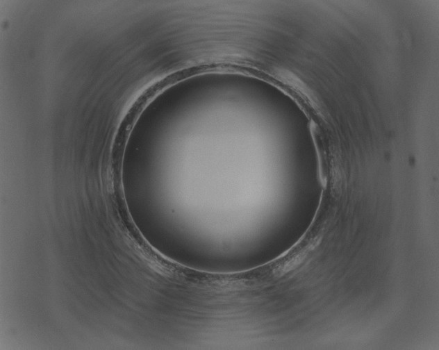 X0000074320924200608251257