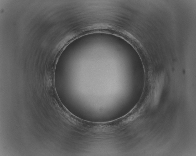 X0000074320929200608251257