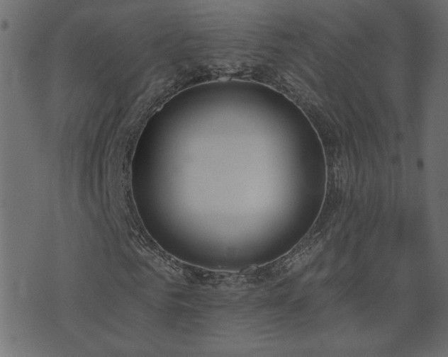 X0000074320961200608251257
