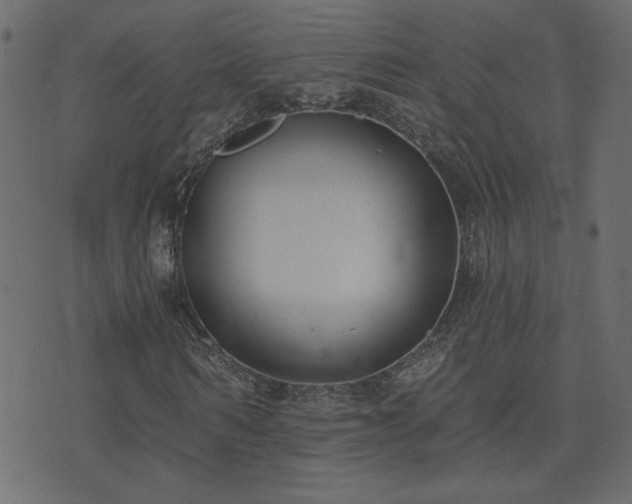 X0000074320962200608251257