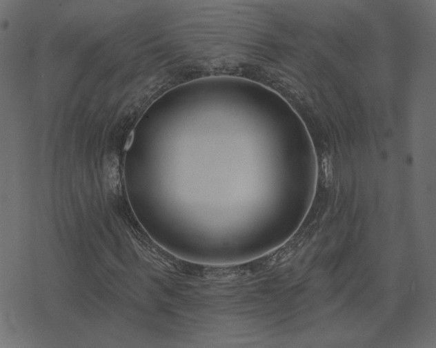 X0000074320963200608251257
