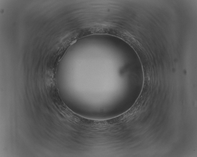 X0000074320964200608251257
