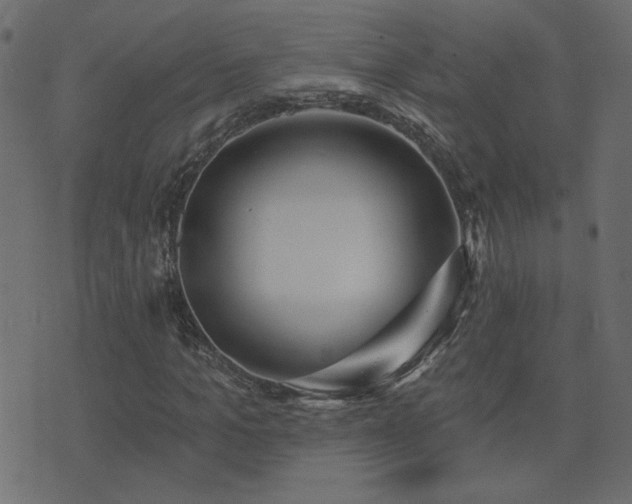 X0000074320965200608251257