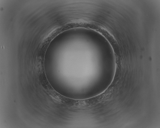 X0000074320968200608251256