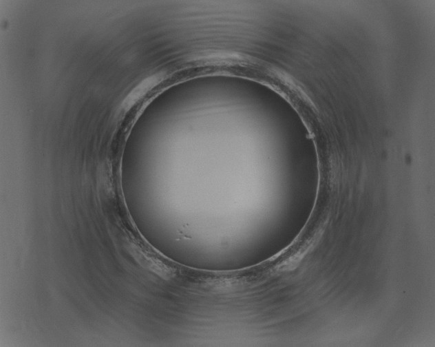 X0000074320970200608251256
