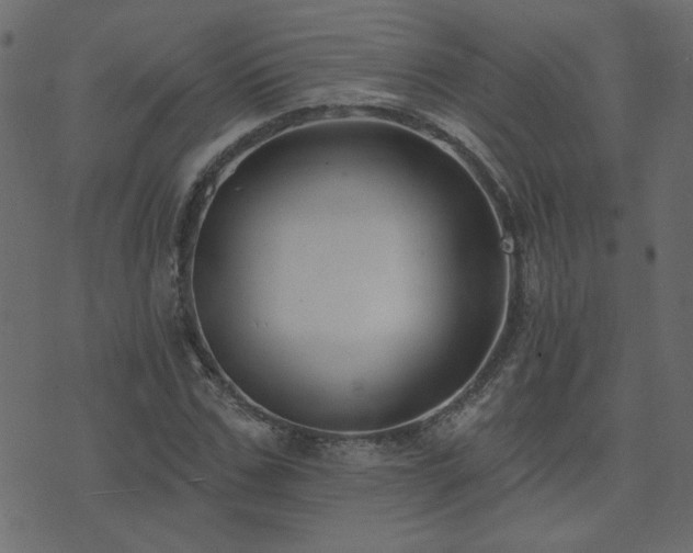 X0000074320971200608251256