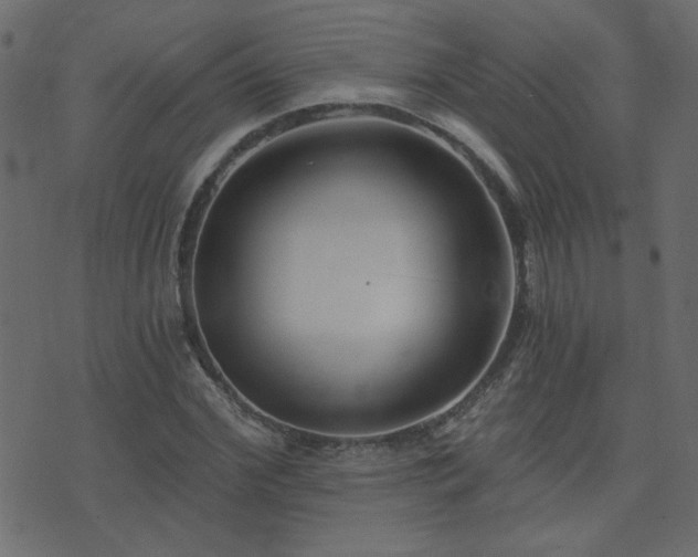 X0000074320972200608251256