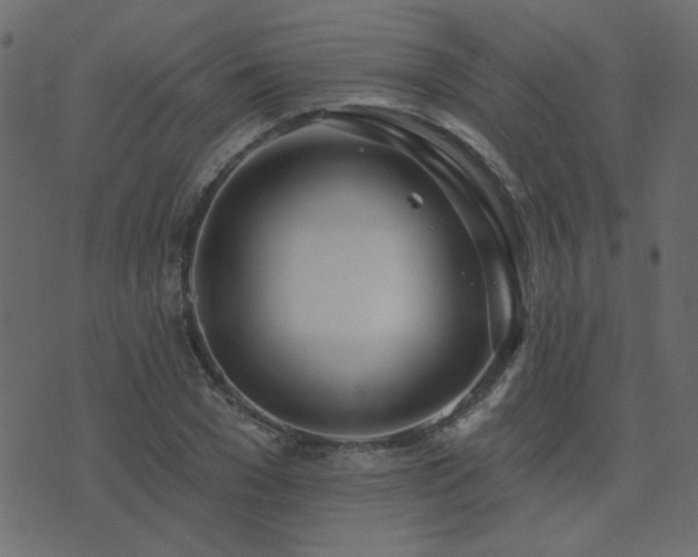 X0000074320977200608251256