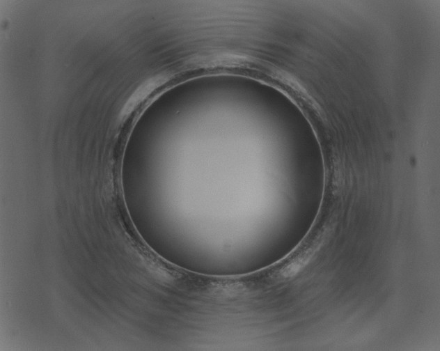 X0000074320978200608251256