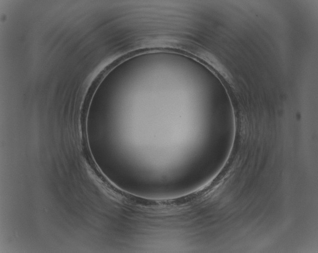 X0000074320980200608251256